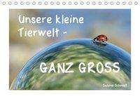 Sabine Schmidt: Schmidt, S: Unsere kleine Tierwelt - GANZ GROSS (Tischkalend, Kalender