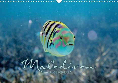 Clave Rodriguez Photography: Rodriguez Photography, C: Unterwasserwelt der Malediven II (, Kalender