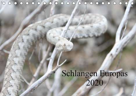 Michael Wilms: Wilms, M: Schlangen Europas (Tischkalender 2020 DIN A5 quer), Kalender