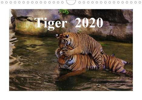 Jörg Hennig: Hennig, J: Tiger 2020 (Wandkalender 2020 DIN A4 quer), Kalender