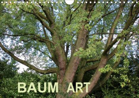 Andrea Ganz: Ganz, A: Baum Art (Wandkalender 2020 DIN A4 quer), Kalender