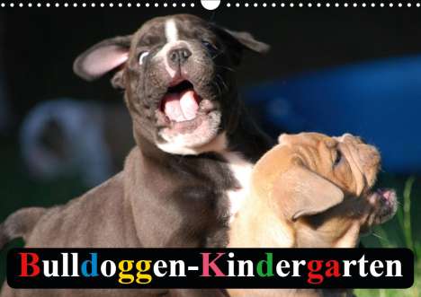 Elisabeth Stanzer: Stanzer, E: Bulldoggen-Kindergarten (Wandkalender 2020 DIN A, Kalender