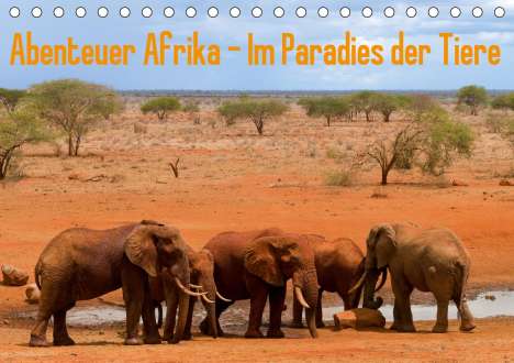 Daniel Rohr: Rohr, D: Abenteuer Afrika - Im Paradies der Tiere (Tischkale, Kalender