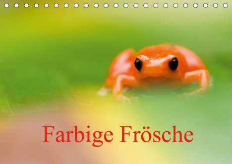 Edwin Giesbers: Giesbers, E: Farbige Frösche (Tischkalender 2020 DIN A5 quer, Kalender