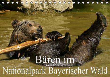 Erika Müller: Müller, E: Bären im Nationalpark Bayerischer Wald (Tischkale, Kalender