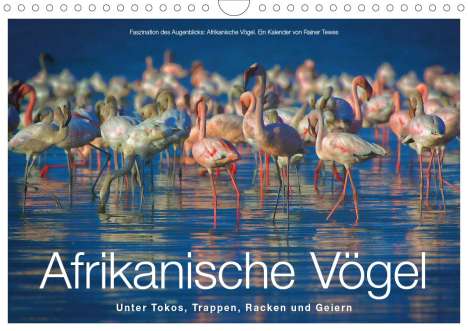 Rainer Tewes: Tewes, R: Afrikanische Vögel (Wandkalender 2020 DIN A4 quer), Kalender