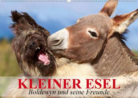 Elisabeth Stanzer: Stanzer, E: Kleiner Esel. Boldewyn und seine Freunde (Wandka, Kalender