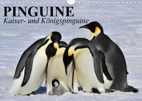 Elisabeth Stanzer: Stanzer, E: Pinguine - Kaiser- und Königspinguine (Wandkalen, Kalender