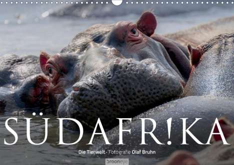 Olaf Bruhn: Bruhn, O: Südafrika - Die Tierwelt (Wandkalender 2020 DIN A3, Kalender