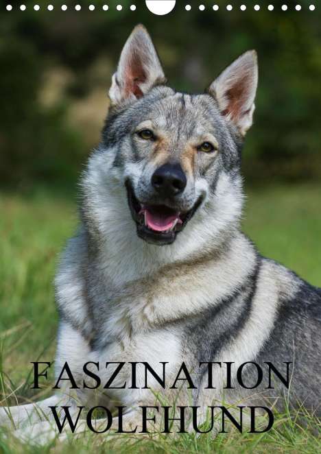 Sigrid Starick: Starick, S: Faszination Wolfhund (Wandkalender 2020 DIN A4 h, Kalender