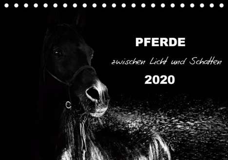Sabine Peters Artwork &amp; Photographie: Peters Artwork &amp; Photographie, S: Pferde zwischen Licht und, Kalender