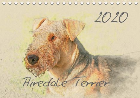 Andrea Redecker: Redecker, A: Airedale Terrier 2020 (Tischkalender 2020 DIN A, Kalender