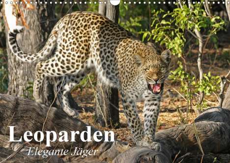 Elisabeth Stanzer: Stanzer, E: Leoparden. Elegante Jäger (Wandkalender 2020 DIN, Kalender