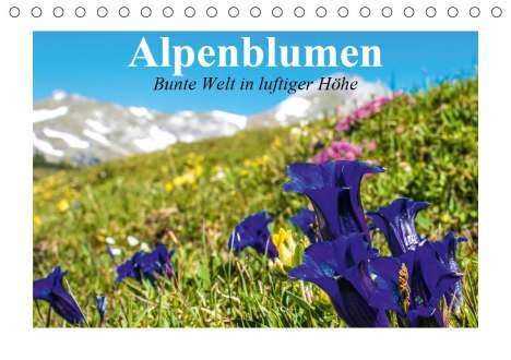 Elisabeth Stanzer: Stanzer, E: Alpenblumen. Bunte Welt in luftiger Höhe (Tischk, Kalender