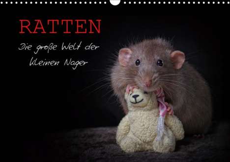 Thorsten Nilson: Nilson, T: Ratten. Die große Welt der kleinen Nager (Wandkal, Kalender