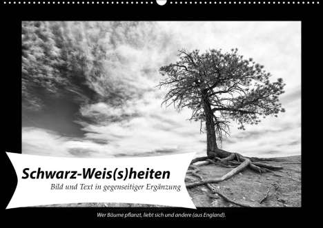 Andreas Klesse: Klesse, A: Schwarz-Weis(s)heiten (Wandkalender 2020 DIN A2 q, Kalender