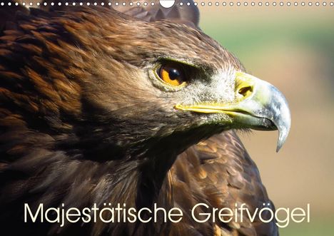 Brigitte Dürr: Dürr, B: Majestätische Greifvögel (Wandkalender 2020 DIN A3, Kalender