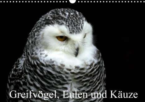 Arno Klatt: Klatt, A: Greifvögel, Eulen und Käuze (Wandkalender 2020 DIN, Kalender