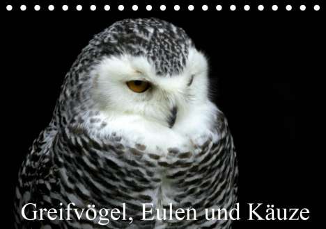 Arno Klatt: Klatt, A: Greifvögel, Eulen und Käuze (Tischkalender 2020 DI, Kalender