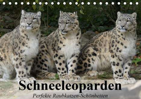Elisabeth Stanzer: Stanzer, E: Schneeleoparden. Perfekte Raubkatzen-Schönheiten, Kalender