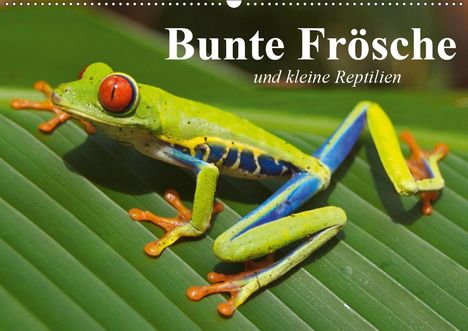 Elisabeth Stanzer: Stanzer, E: Bunte Frösche und kleine Reptilien (Wandkalender, Kalender