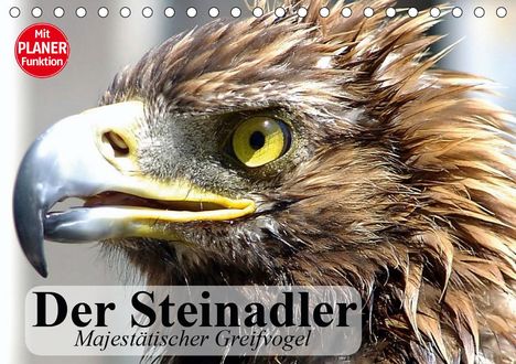 Elisabeth Stanzer: Stanzer, E: Steinadler. Majestätischer Greifvogel (Tischkale, Kalender