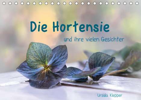 Ursula Klepper: Klepper, U: Hortensie und ihre vielen Gesichter (Tischkalend, Kalender