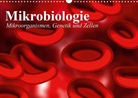 Elisabeth Stanzer: Stanzer, E: Mikrobiologie. Mikroorganismen, Genetik und Zell, Kalender