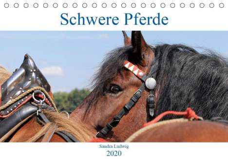 Sandra Ludwig: Ludwig, S: Schwere Pferde 2020 (Tischkalender 2020 DIN A5 qu, Kalender