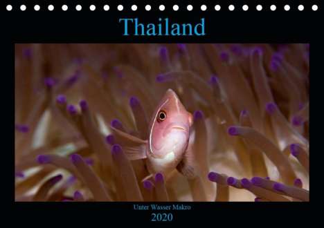 Ralf Schmidt Xway-Image. De: Schmidt Xway-Image. De, R: Thailand - Unter Wasser Makro (Ti, Kalender
