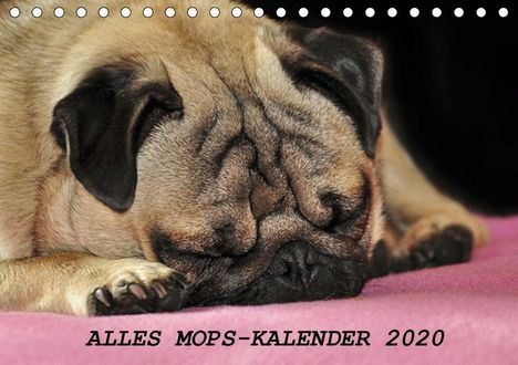 Sonja Hofmann: Hofmann, S: Alles Mops-Kalender 2020 (Tischkalender 2020 DIN, Kalender