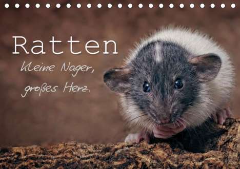 Thorsten Nilson: Nilson, T: Ratten. Kleine Nager, großes Herz. (Tischkalender, Kalender