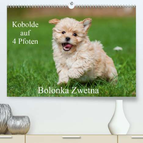 Sigrid Starick: Starick, S: Kobolde auf 4 Pfoten - Bolonka Zwetna(Premium, h, Kalender