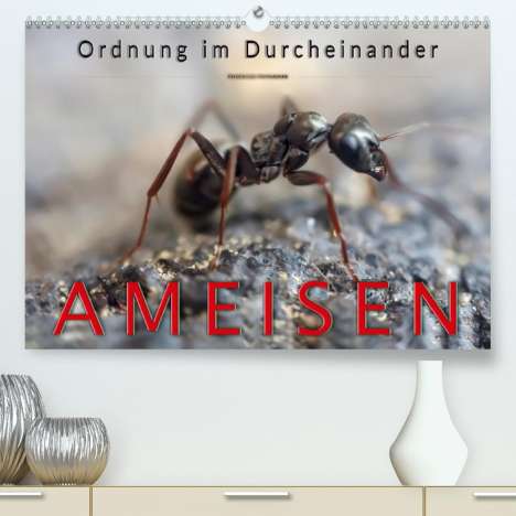 Peter Roder: Roder, P: Ameisen - Ordnung im Durcheinander(Premium, hochwe, Kalender