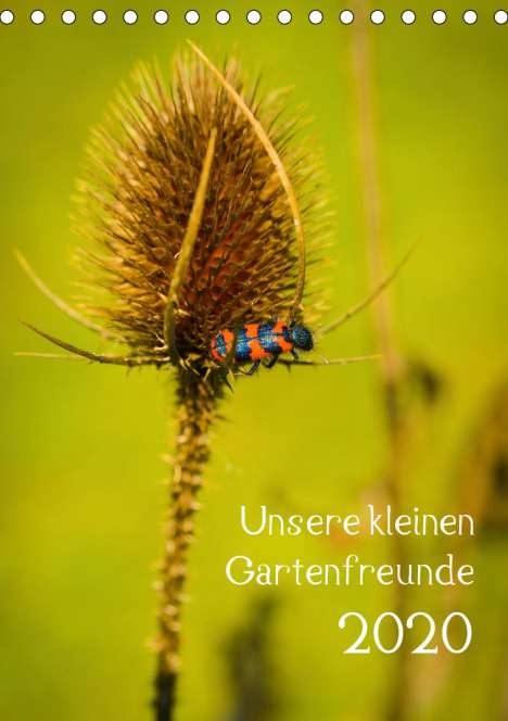 k. A. Gartenchaosliebe: Gartenchaosliebe, k: Unsere kleinen Gartenfreunde (Tischkale, Kalender