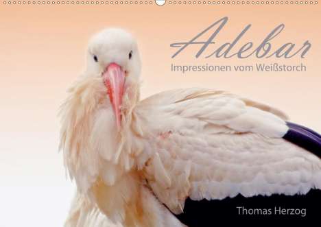 Thomas Herzog: Herzog, T: ADEBAR (Wandkalender 2021 DIN A2 quer), Kalender