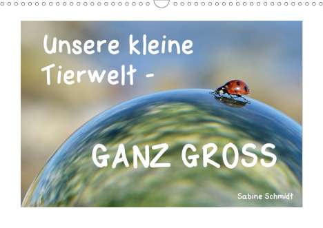 Sabine Schmidt: Schmidt, S: Unsere kleine Tierwelt - GANZ GROSS (Wandkalende, Kalender