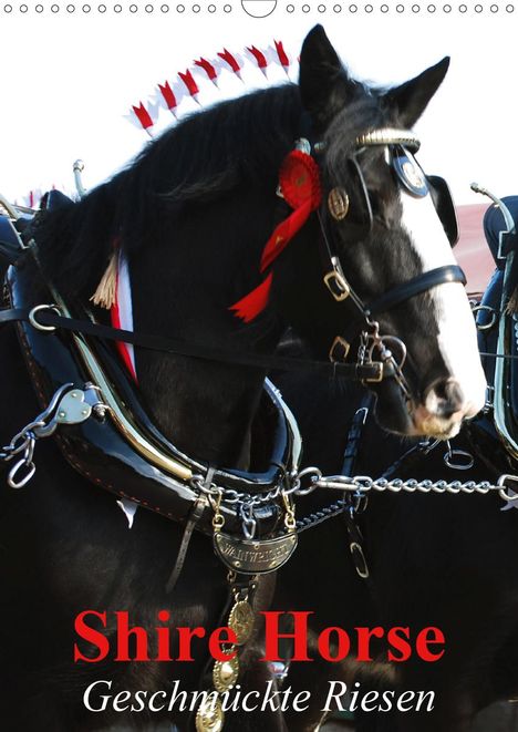 Elisabeth Stanzer: Stanzer, E: Shire Horse - Geschmückte Riesen (Wandkalender 2, Kalender