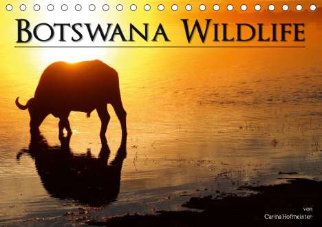 Carina Hofmeister: Hofmeister, C: Botswana Wildlife (Tischkalender 2021 DIN A5, Kalender