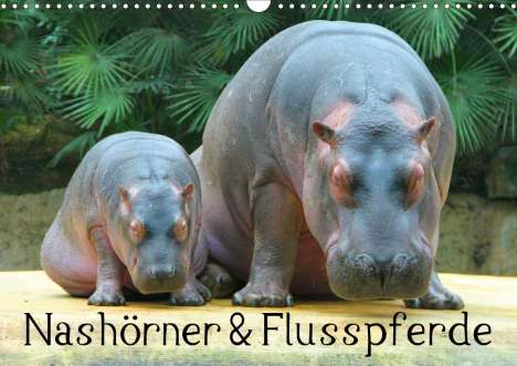 Elisabeth Stanzer: Stanzer, E: Nashörner &amp; Flusspferde (Wandkalender 2021 DIN A, Kalender