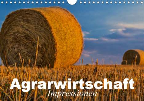 Elisabeth Stanzer: Stanzer, E: Agrarwirtschaft - Impressionen (Wandkalender 202, Kalender