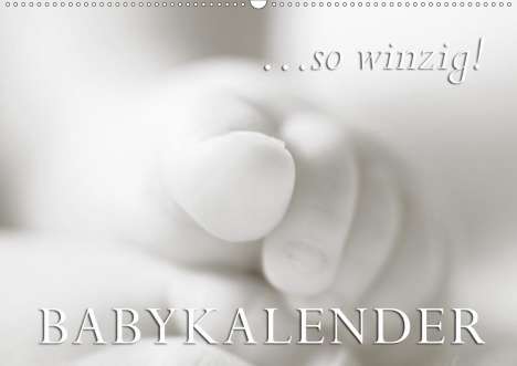 Markus W. Lambrecht: W. Lambrecht, M: ...so winzig - Babykalender (Wandkalender 2, Kalender