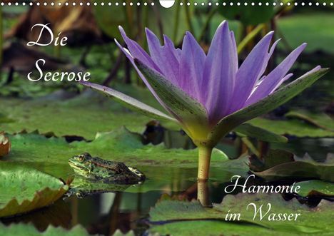 Siegfried Fischer: Fischer, S: Seerose - Harmonie im Wasser (Wandkalender 2021, Kalender