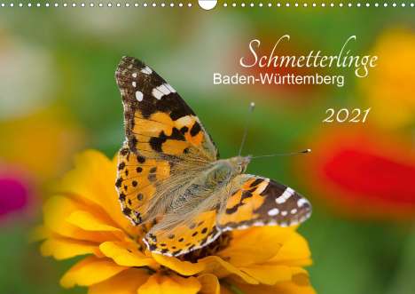 Annette Schlauch: Schlauch, A: Schmetterlinge Baden-Württemberg (Wandkalender, Kalender