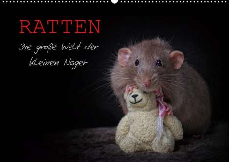 Thorsten Nilson: Nilson, T: Ratten. Die große Welt der kleinen Nager (Wandkal, Kalender