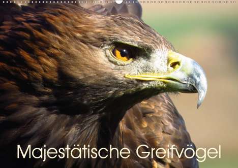 Brigitte Dürr: Dürr, B: Majestätische Greifvögel (Wandkalender 2021 DIN A2, Kalender