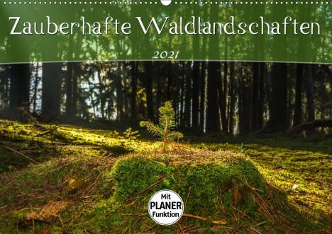 Marcel Wenk: Wenk, M: Zauberhafte Waldlandschaften (Wandkalender 2021 DIN, Kalender