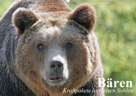 Elisabeth Stanzer: Stanzer, E: Bären. Kraftpakete auf leisen Sohlen (Wandkalend, Kalender