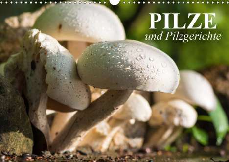 Elisabeth Stanzer: Stanzer, E: Pilze und Pilzgerichte (Wandkalender 2021 DIN A3, Kalender