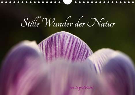 Ingrid Michel: Michel, I: Stille Wunder der Natur (Wandkalender 2021 DIN A4, Kalender